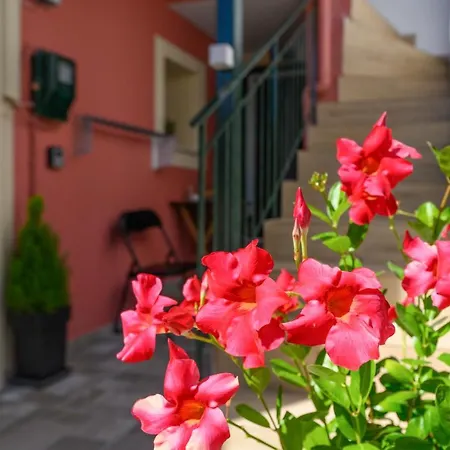 Appartement Ileana -marina 2 *